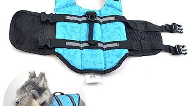 冷冻油更换施工步骤详解：确保制冷系统高效运行的秘诀